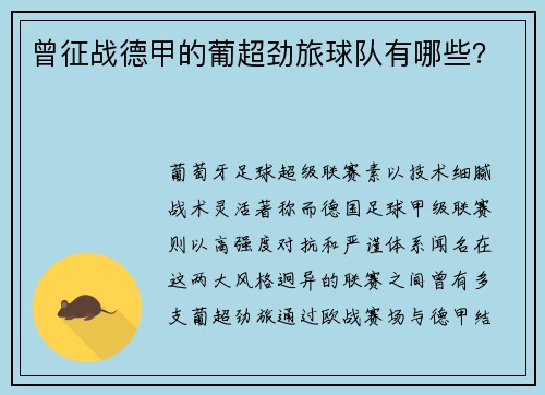 曾征战德甲的葡超劲旅球队有哪些？